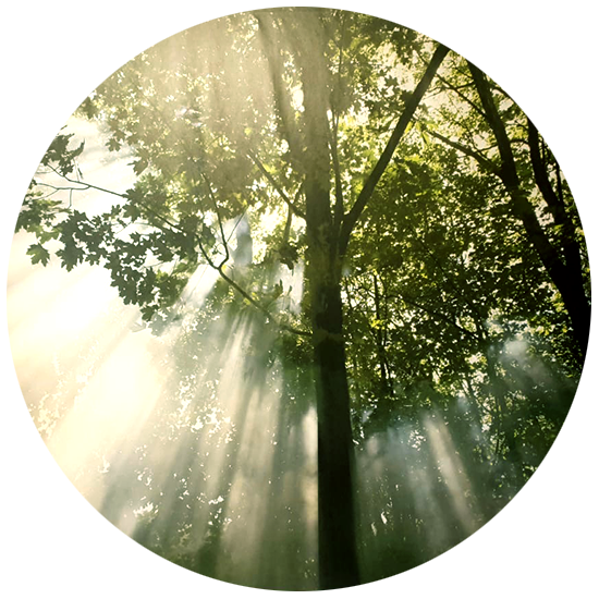 Persönlichkeitsstärkung img_einfach-ich-sein_01.png